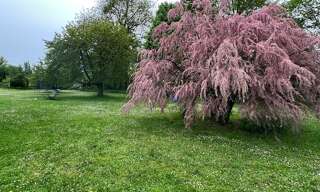 Terrain  1991 m² à vendre à Bazancourt (51110)