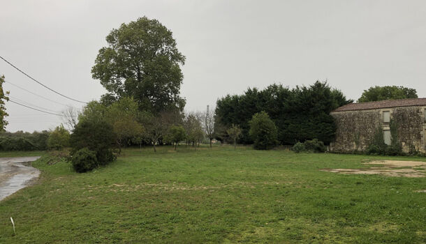 Terrain  à vendre Plassay 17250