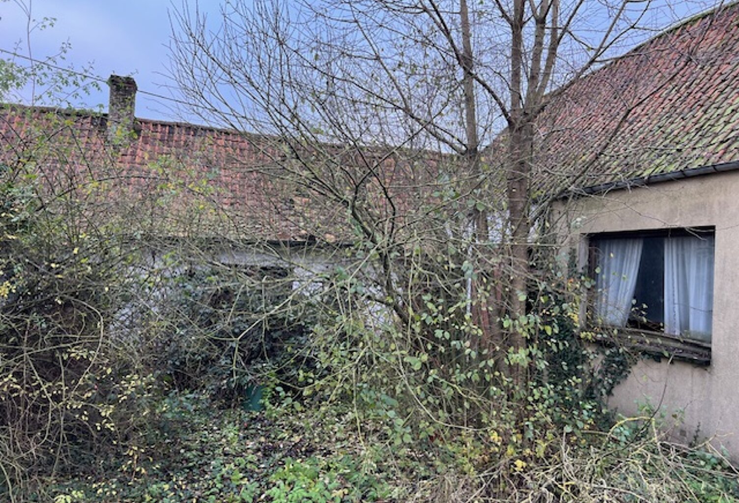 Vente maison 7 pièces 118 m² Marenla (62990) — photo 1