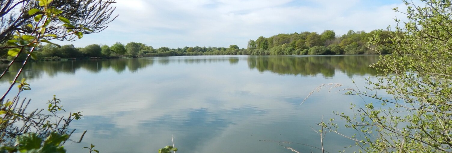 Maison 8 Pièces 170 m² à vendre à Saint-Coutant (16350)