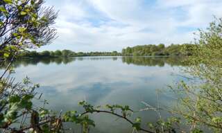 Maison 8 Pièces 170 m² à vendre à Saint-Coutant (16350)