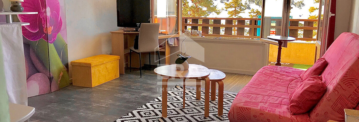 Appartement 1 Pièce 28 m² à vendre à Gréolières (06620)