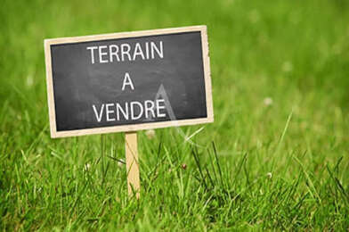 Terrain  53000 €