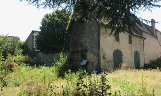Photo N° 8