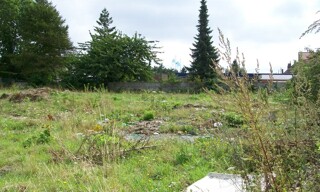 Photo N° 3