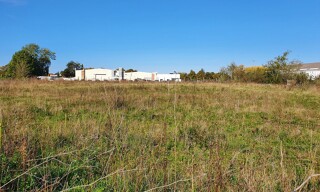 Photo N° 2
