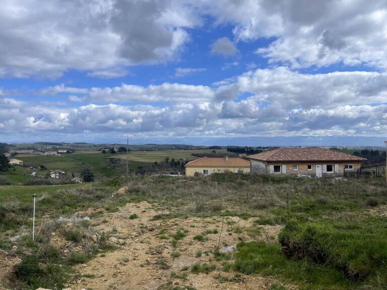 TERRAIN — photo 1