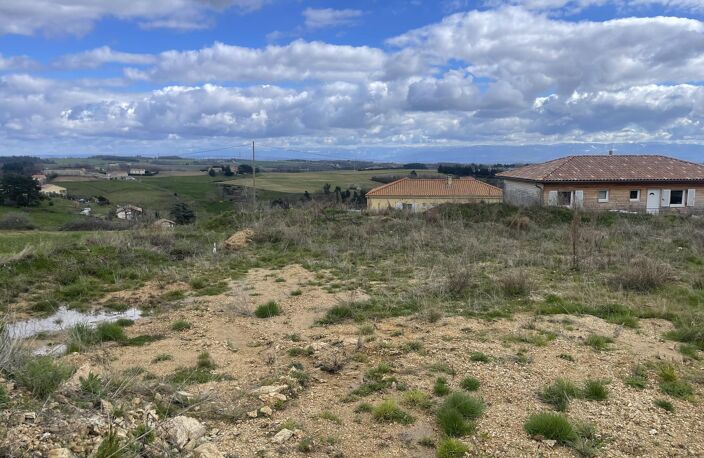 TERRAIN — photo 3