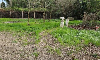 Terrain  1000 m² à vendre à Prunelli-di-Fiumorbo (20243)