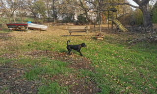 Photo N° 3