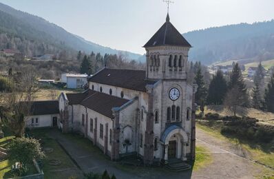 vente maison 583 000 € à proximité de Frahier-Et-Chatebier (70400)