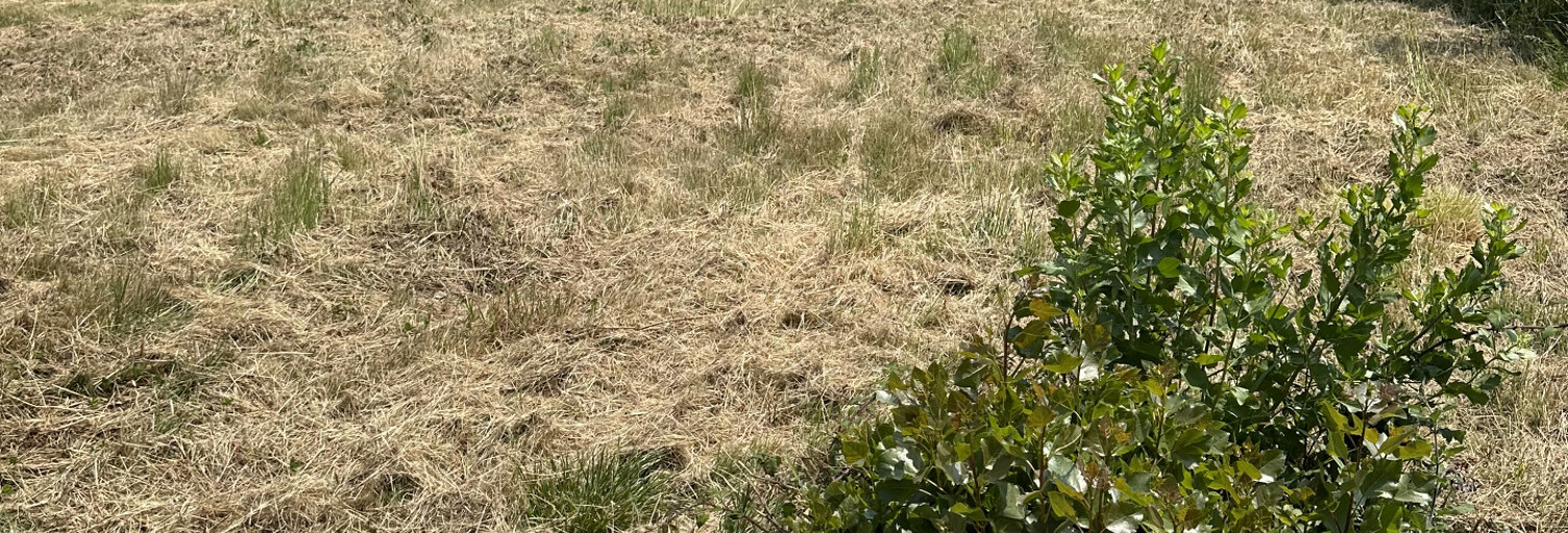 Terrain  423 m² à vendre à Les Sables-d'Olonne (85340)