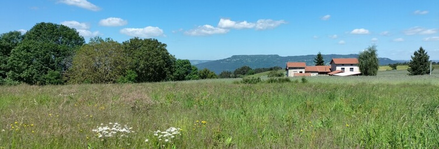 Terrain  607 m² à vendre à Saint-Maurice-de-Lignon (43200)