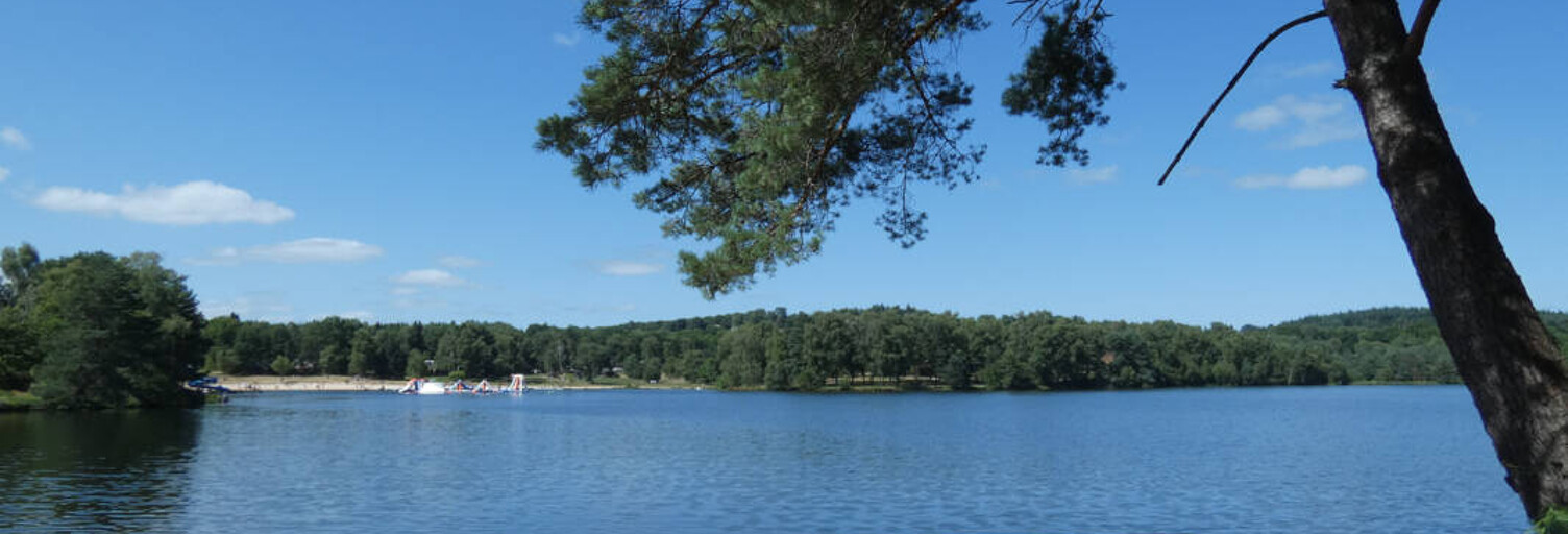 Commerce  1023 m² à vendre à Beynat (19190)