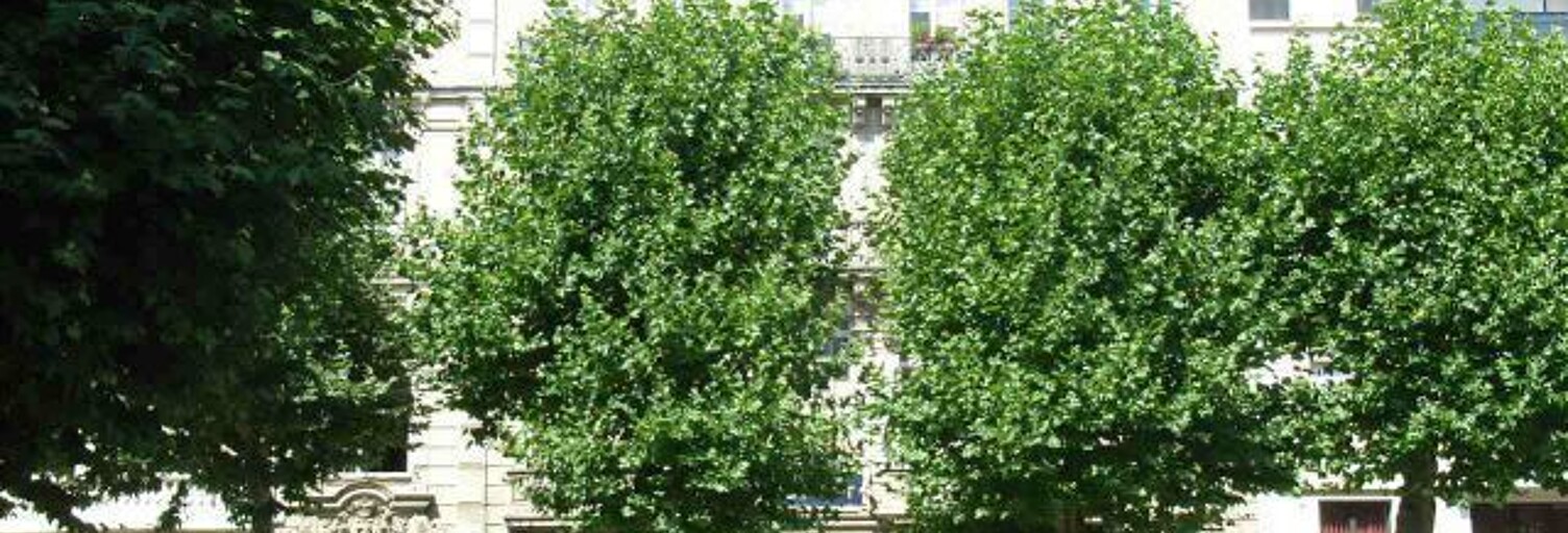 Commerce  35 m² à louer à Le Havre (76600)