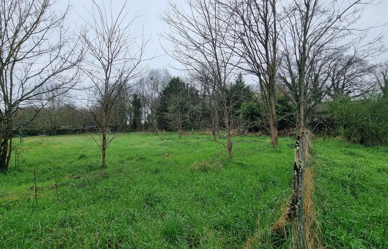 terrain  pièces 1150 m2 à vendre à Toulenne (33210)