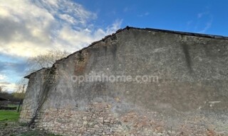 Photo N° 4