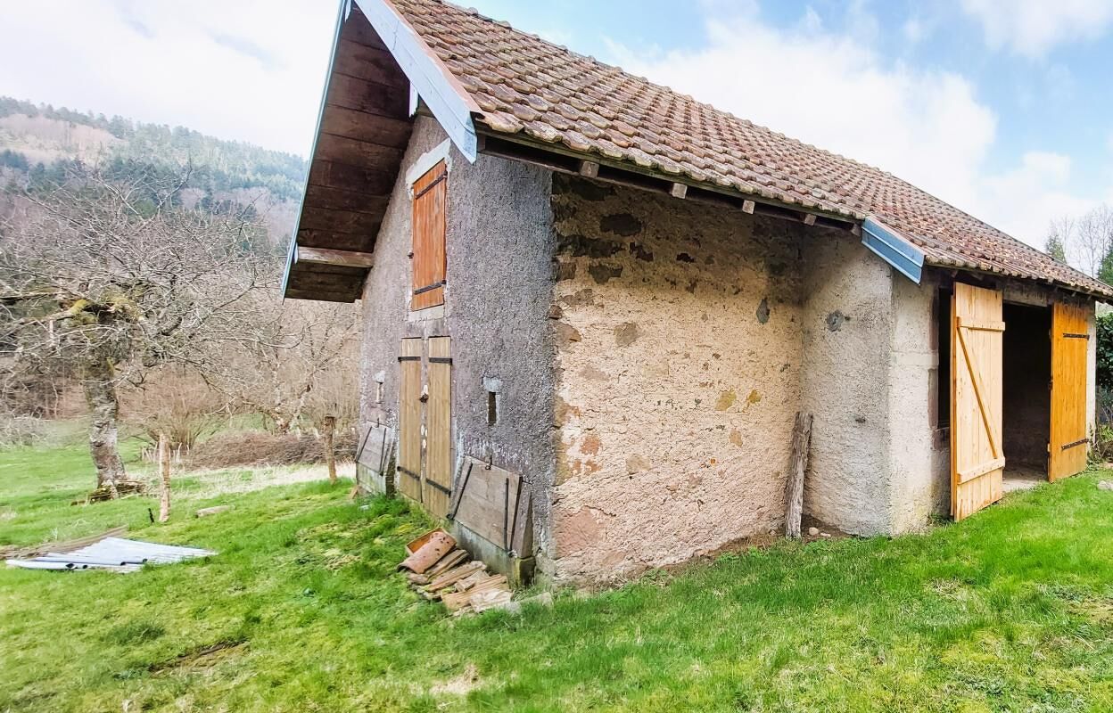 maison 6 pièces 220 m2 à vendre à Remiremont (88200)