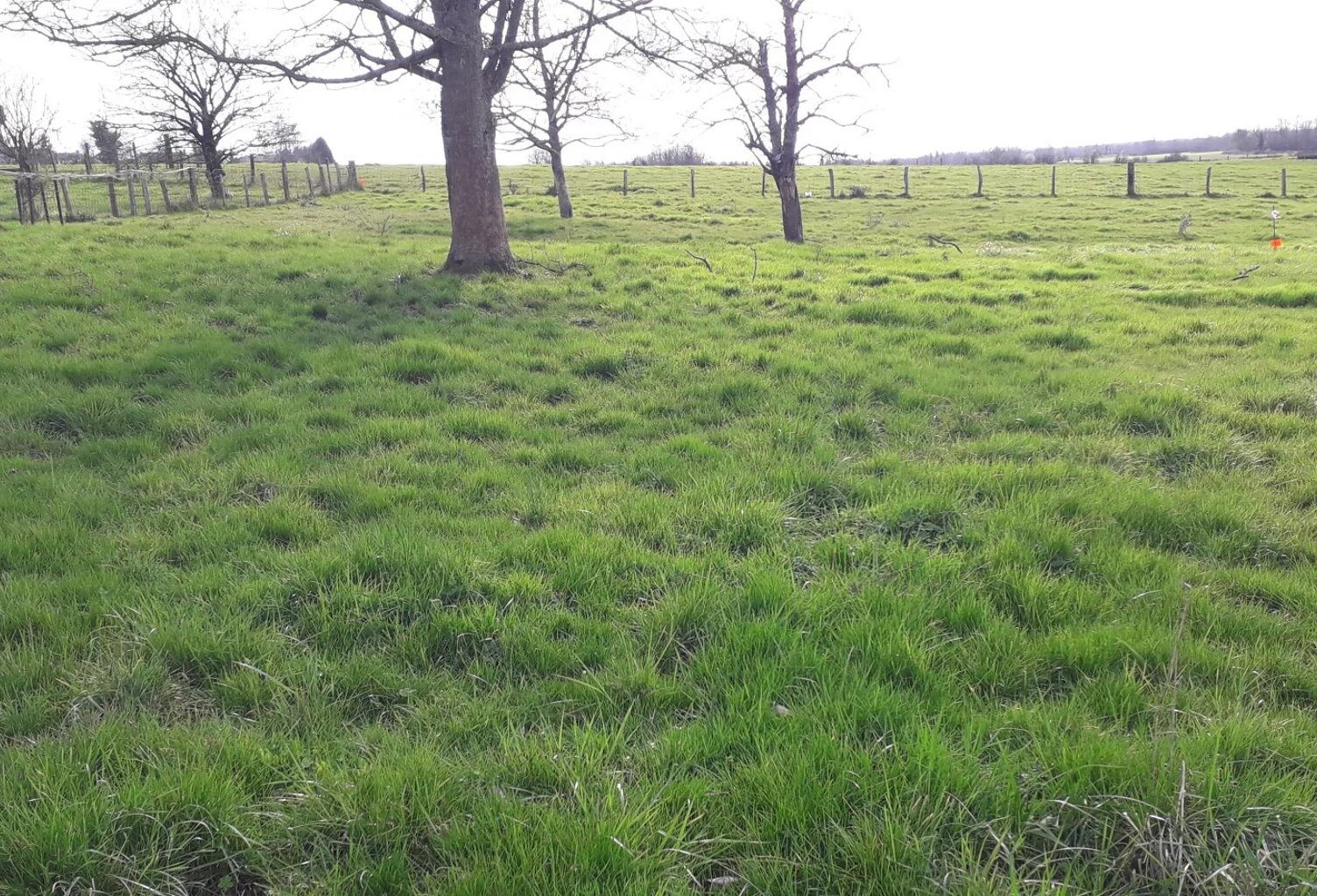 Terrain à bâtir de 1037 m² à Villers-le-Sec — photo 1