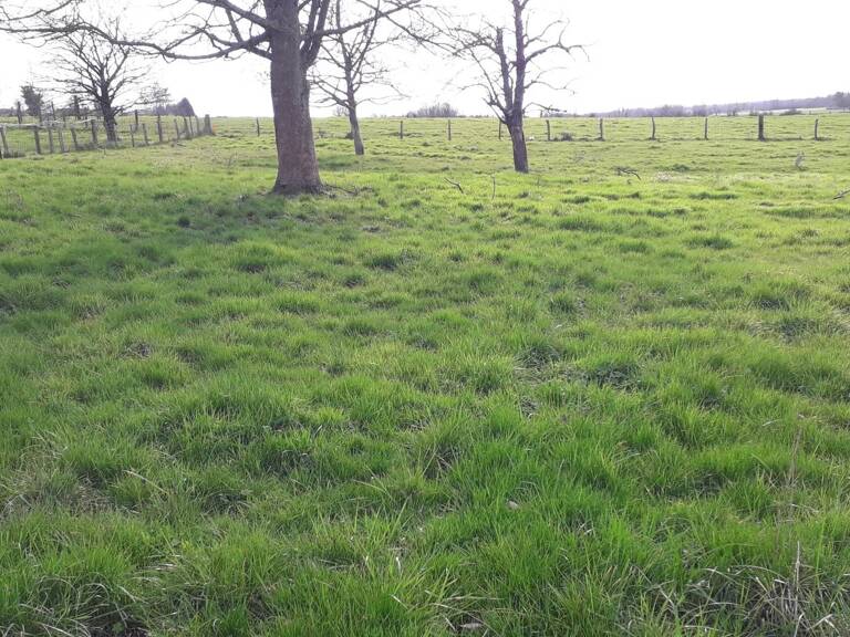 Terrain à bâtir de 1037 m² à Villers-le-Sec — photo 1