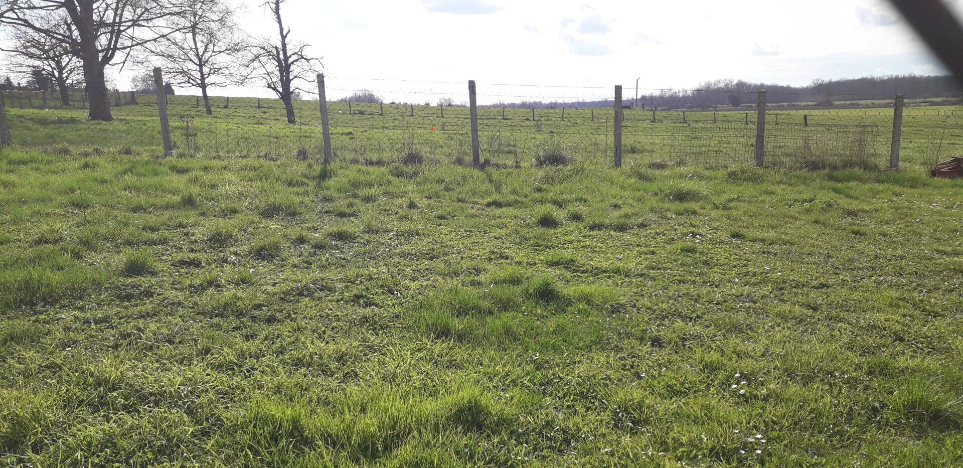 Photo Terrain à bâtir de 1037 m² à Villers-le-Sec image 3/3