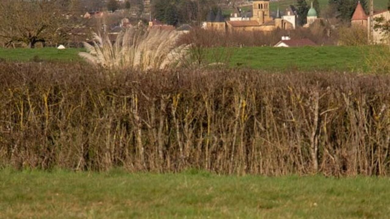 terrain  pièces 2310 m2 à vendre à Paray-le-Monial (71600)