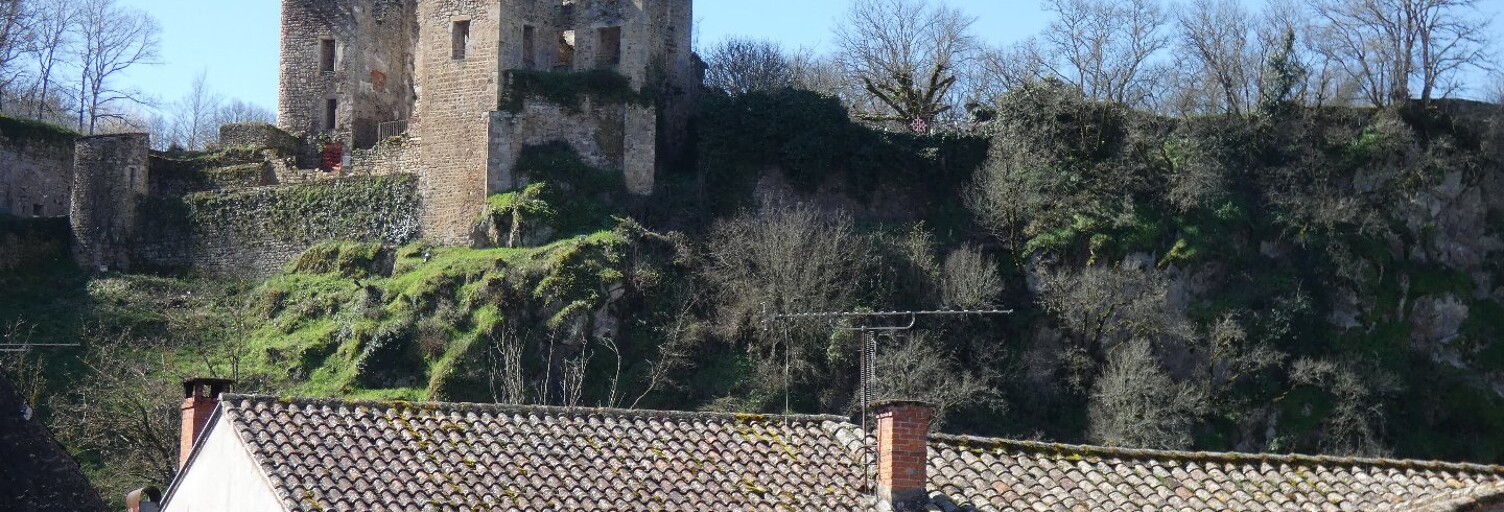 Maison 9 Pièces 180 m² à vendre à Laguépie (82250)