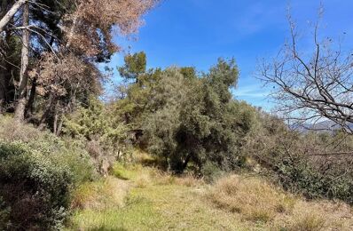 vente terrain 212 000 € à proximité de Villeneuve-Loubet (06270)