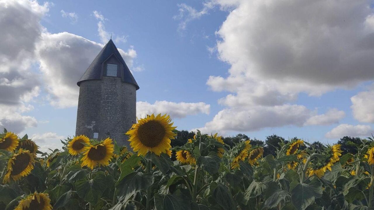 maison 2 pièces 54 m2 à vendre à Loiré-sur-Nie (17470)