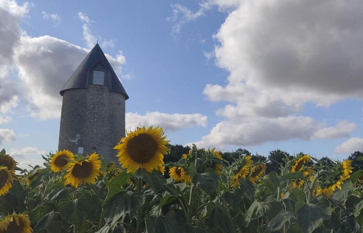 maison 2 pièces 54 m2 à vendre à Loiré-sur-Nie (17470)