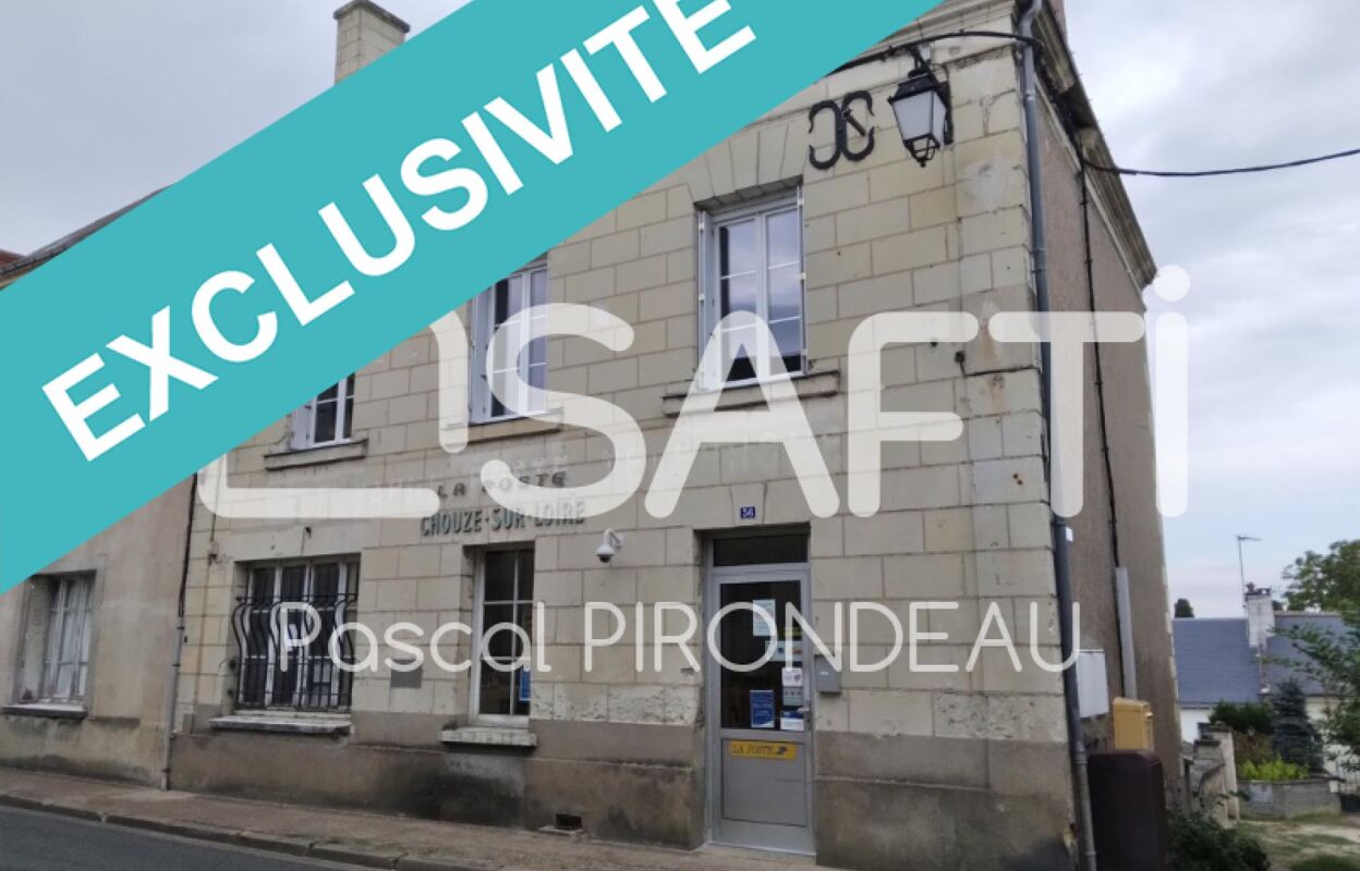immeuble  pièces 164 m2 à vendre à Chouzé-sur-Loire (37140)