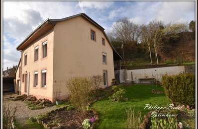 vente maison 120 000 € à proximité de Étival-Clairefontaine (88480)