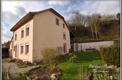 vente maison 120 000 € à proximité de Celles-sur-Plaine (88110)