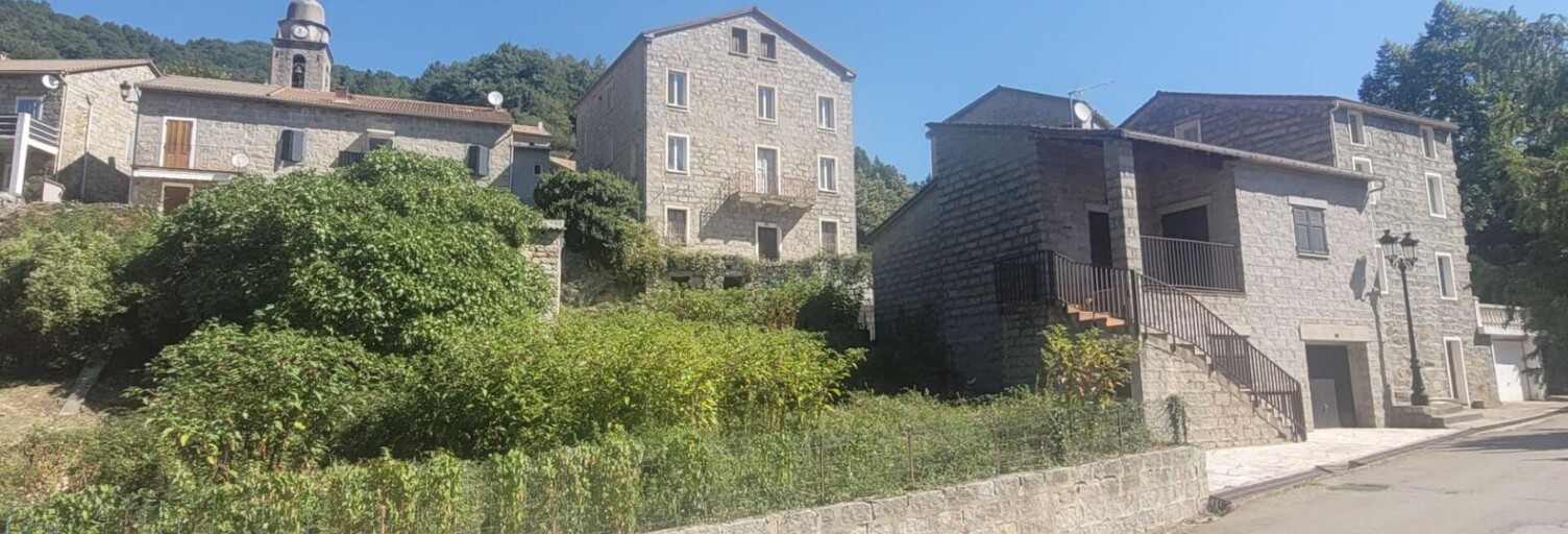 Maison 1 Pièce 363 m² à vendre à Ciamannacce (20134)