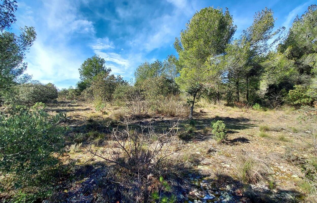 terrain  pièces 5580 m2 à vendre à Cabrières-d'Avignon (84220)