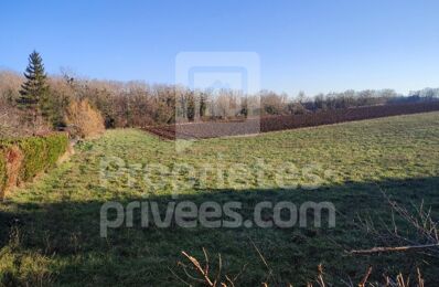 terrain  pièces 1100 m2 à vendre à Donzy (58220)