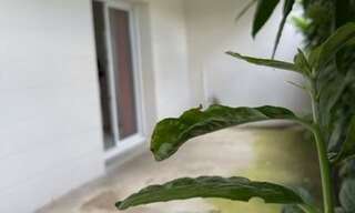 Appartement 4 Pièces 67 m² à vendre à Montauban (82000)