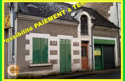 vente maison 29 000 € à proximité de Villentrois-Faverolles-en-Berry (36600)