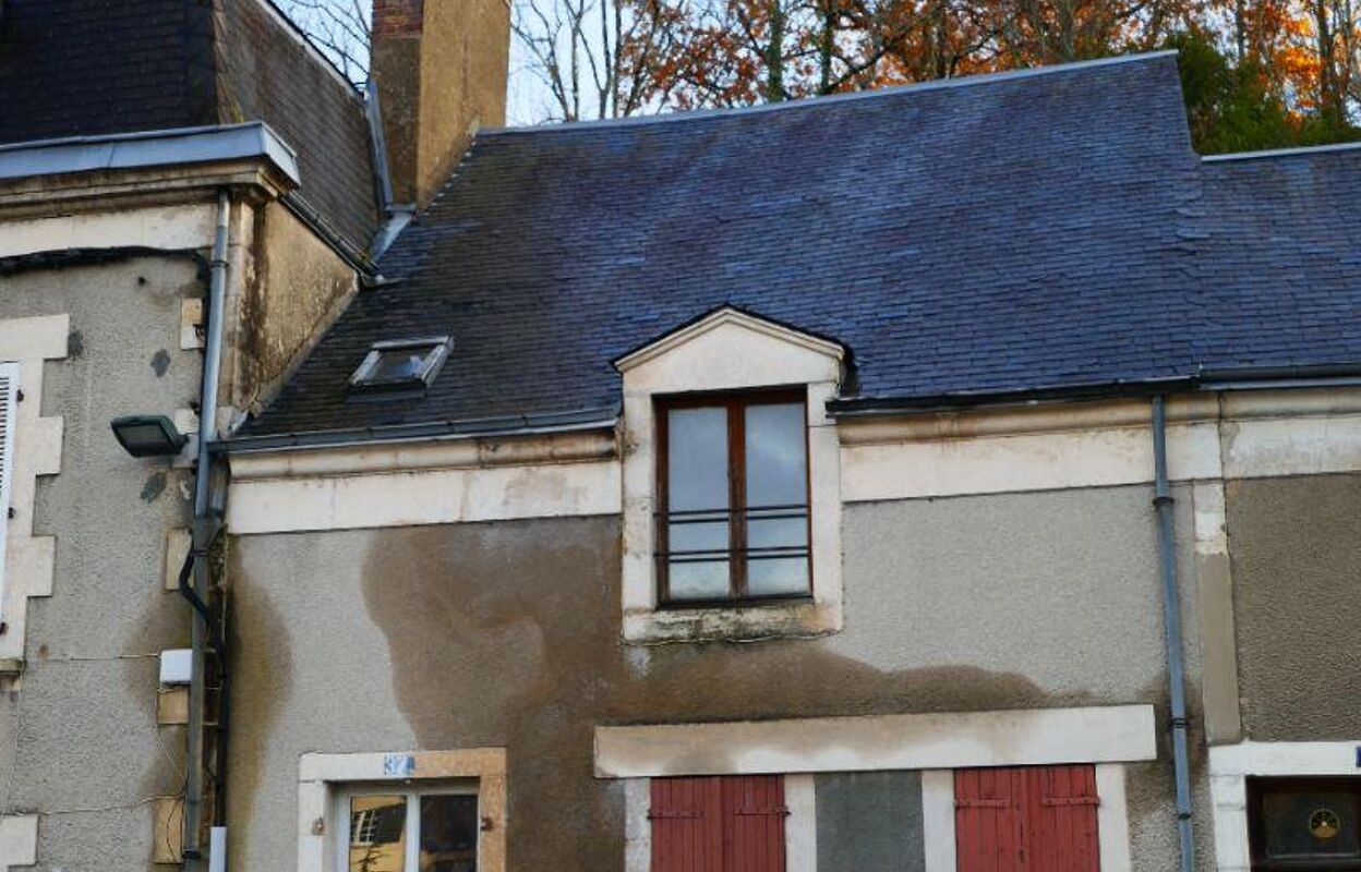 maison 1 pièces 50 m2 à vendre à Argenton-sur-Creuse (36200)