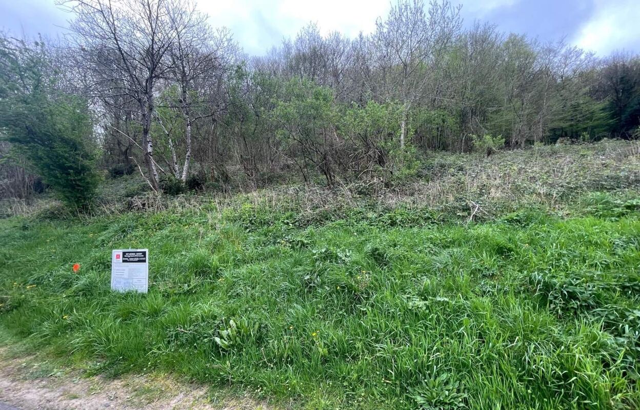 terrain  pièces 1106 m2 à vendre à Savonnières (37510)