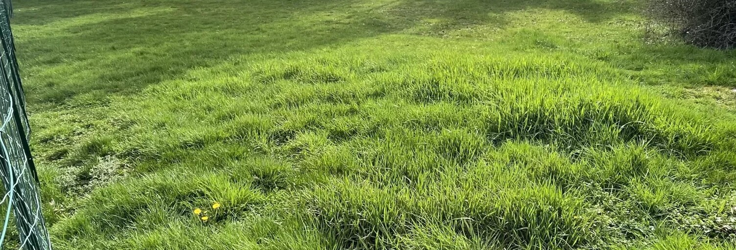 Terrain  1302 m² à vendre à Bressolles (03000)