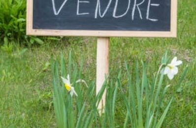 vente terrain 56 000 € à proximité de Villeneuve-la-Guyard (89340)
