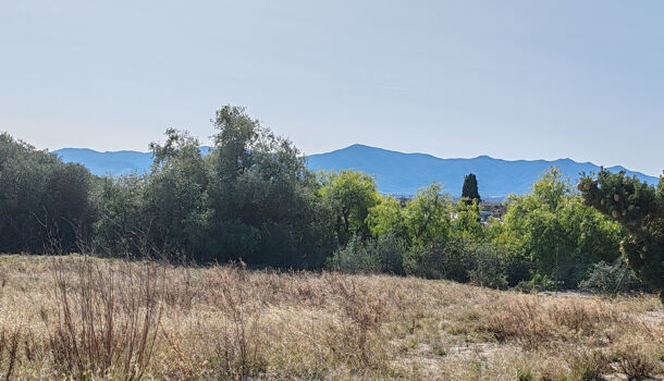 Villa / Maison 4 pièces  à vendre Perpignan 66000