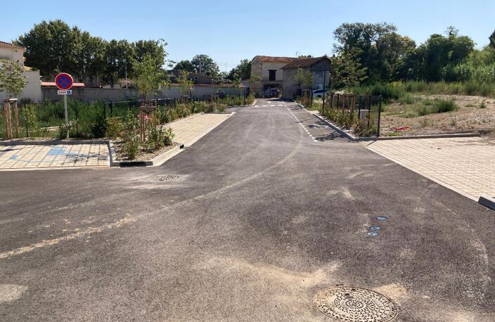 Terrain — photo 3