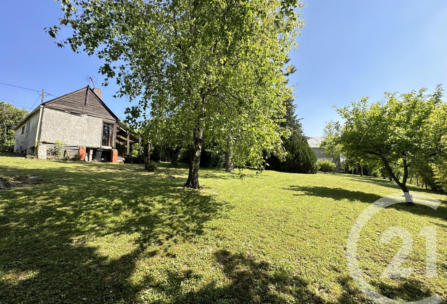 Terrain — photo 1