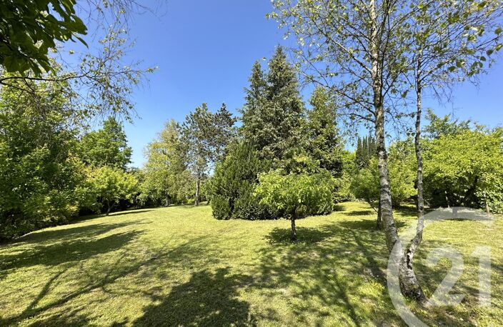 Terrain — photo 2