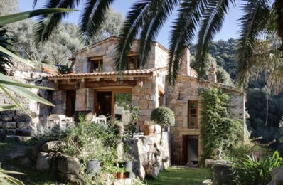 vente maison 742 000 € à proximité de Argiusta-Moriccio (20140)