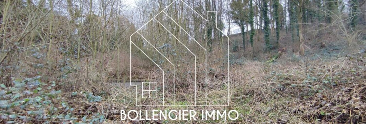 Terrain  6482 m² à vendre à Cassel (59670)