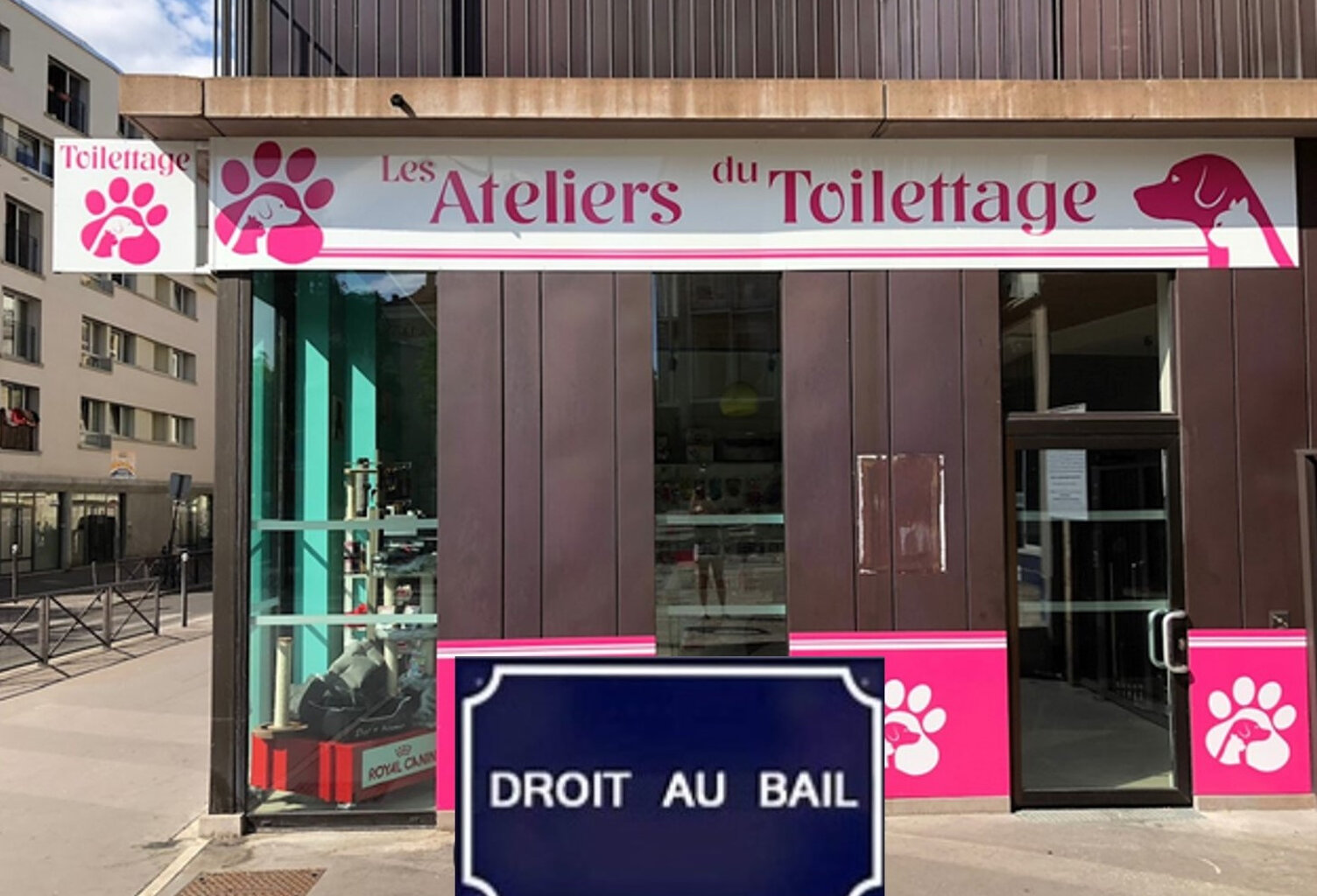boutique 45 m2 IDEAL SALON DE TOILETAGE — photo 1