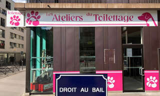 Commerce  45 m² à vendre à Montarnaud (34570)